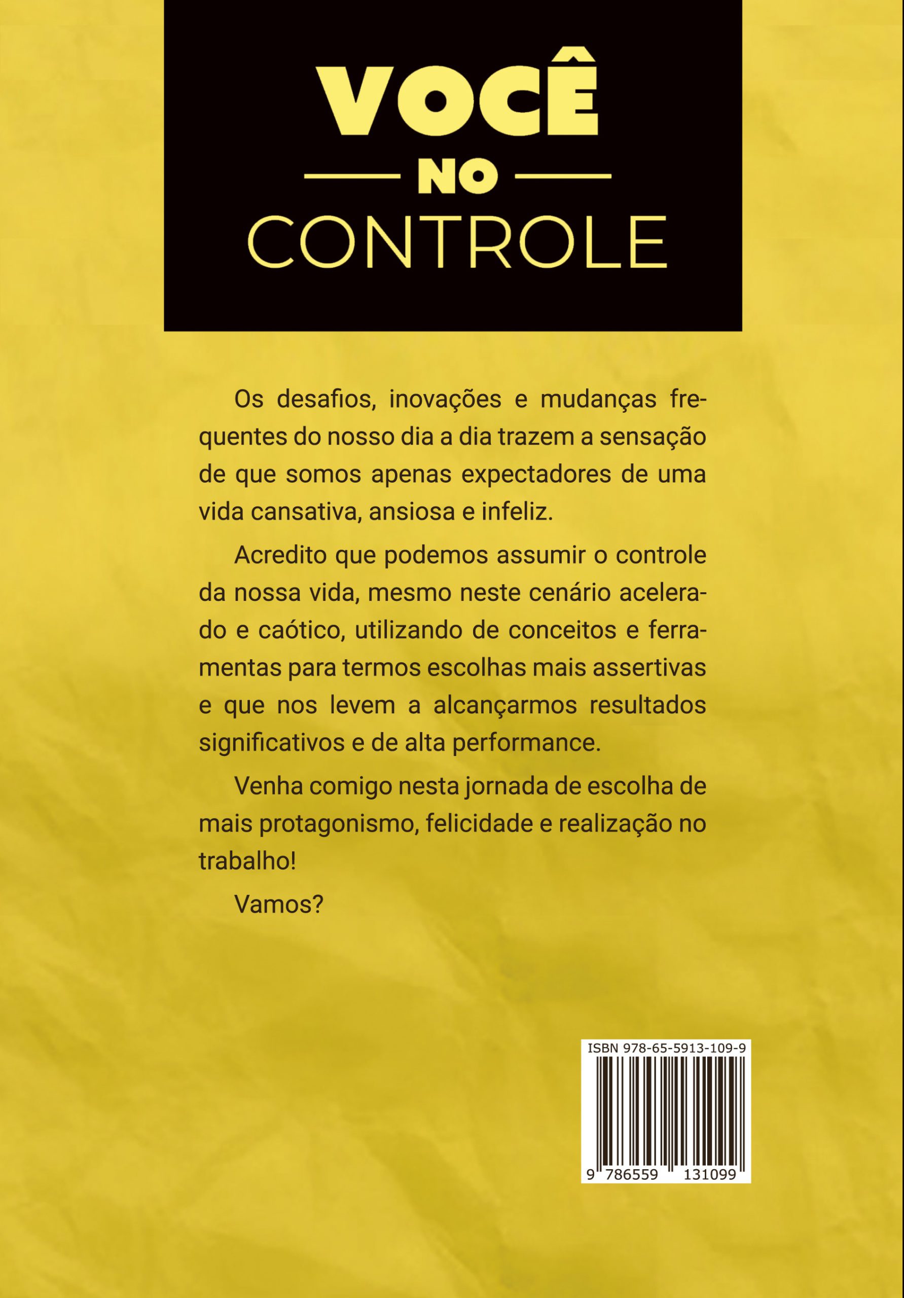 Você no Controle - Felicidade no trabalho, alta performance e independência profissional - Imagem 2