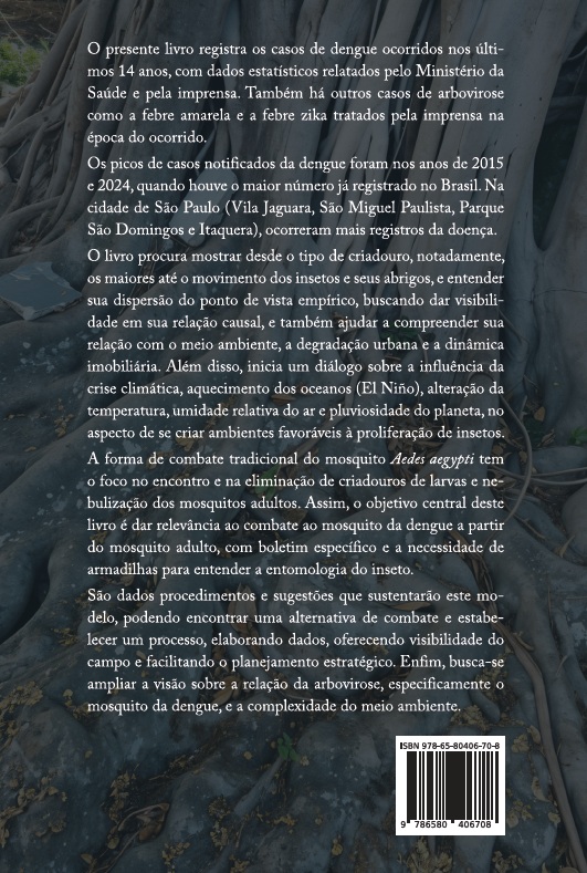 Arbovirose - A dengue nos últimos 14 anos (2010-2024) - Imagem 2