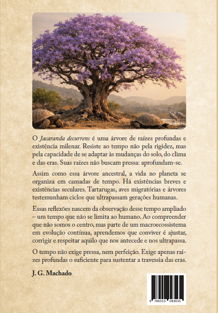 Reflexões Sobre o Tudo e o Nada - A Emoção Humana Ancorada pela Razão - Imagem 3